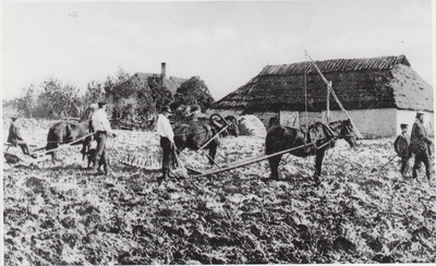 Lina töötlemine. Maa äestamine ja harimine.  duplicate photo