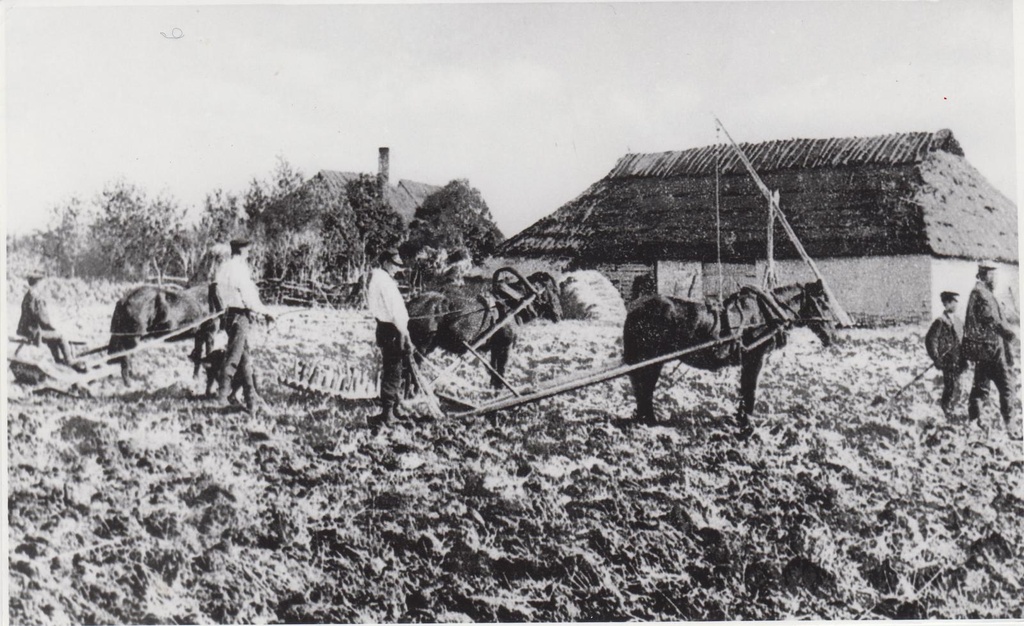 Lina töötlemine. Maa äestamine ja harimine.