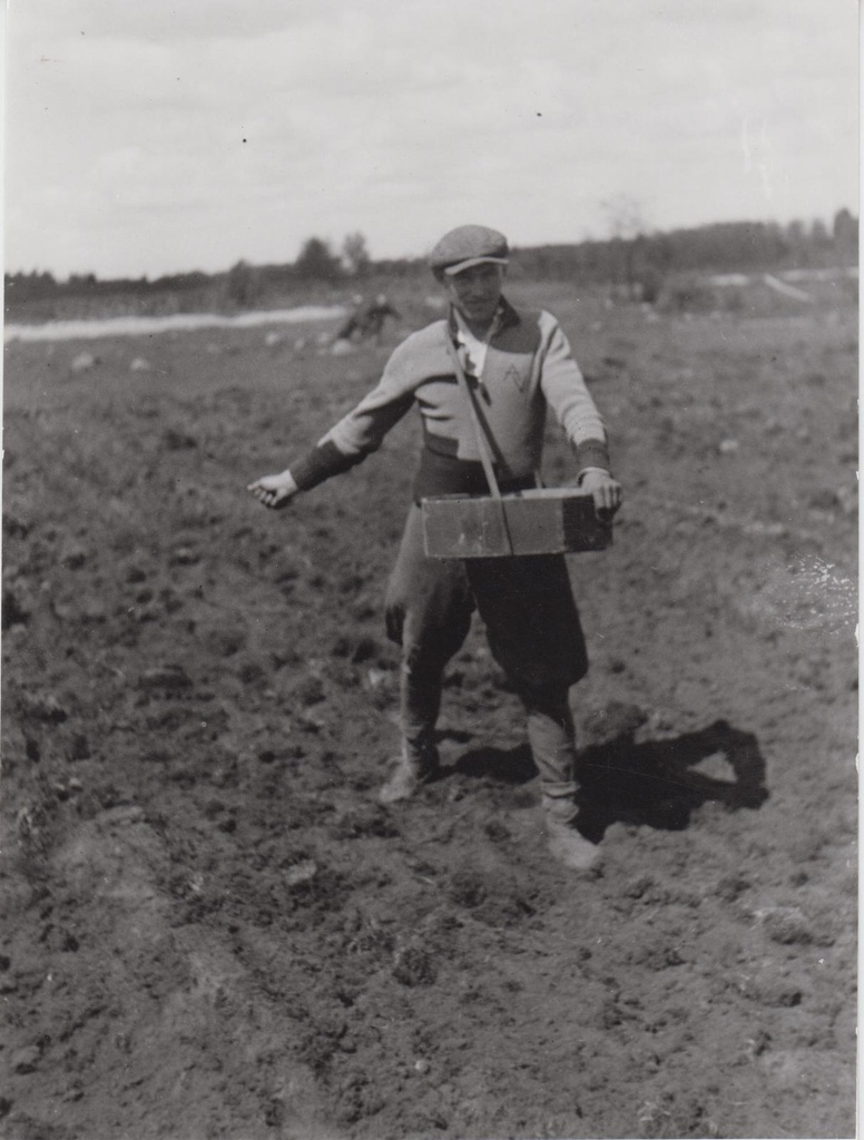 Lina töötlemine. Külvamine.