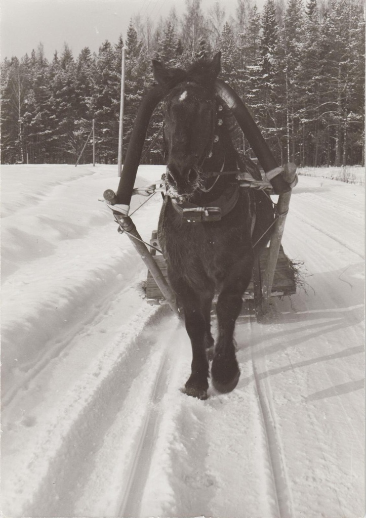 Ida Jakobsoni 100. sünniaastapäeva tähistamine Kurgja-Linnutajal.