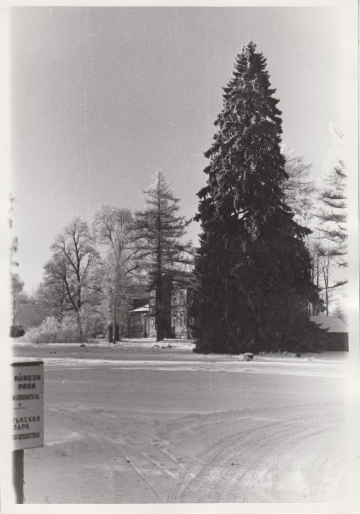 Kurgja-Linnutaja. Kurgja park. Vaade kirdest.