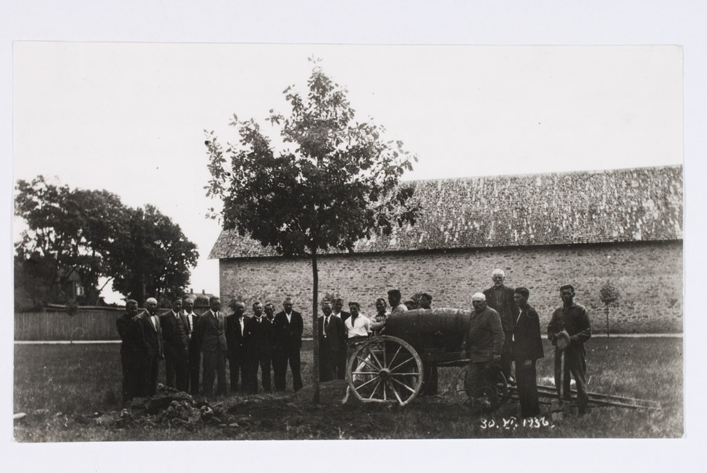 Tammede istutamine seltsimaja lähedale Vabaduse väljakule Lillemetsa alla Põltsamaa linna 10.aastapäeva puhul 1936.a.