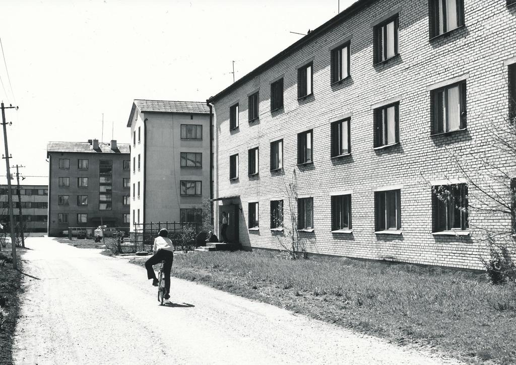 Foto. Väimela Näidissovhoostehnikumi ühiselamu 3 Kooli teel (1963) ja elamud Kooli teel7 (1966)  ja Põllu tänaval2 (1969) mais 1981.a.