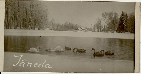 foto, Jäneda vaade 1920-ndad a.