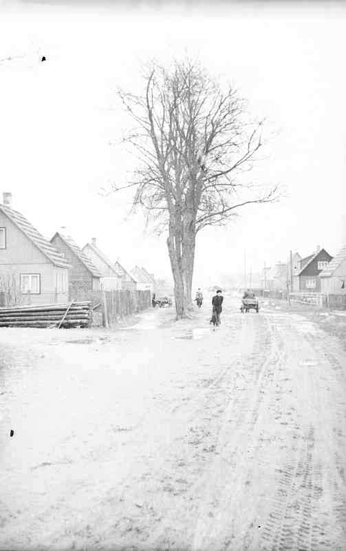 Räpina Apteegi tänav