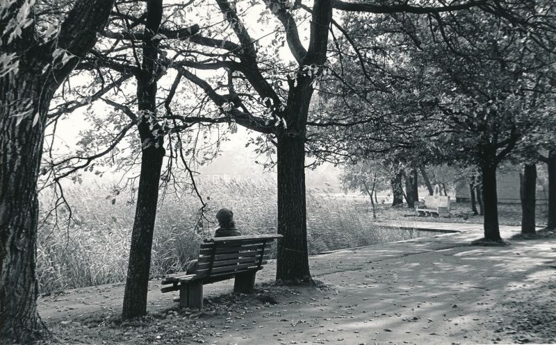 Foto. Sügis Tšaikovski puiesteel, taamal Tšaikovski pink. 1980. a. Mustvalge.
