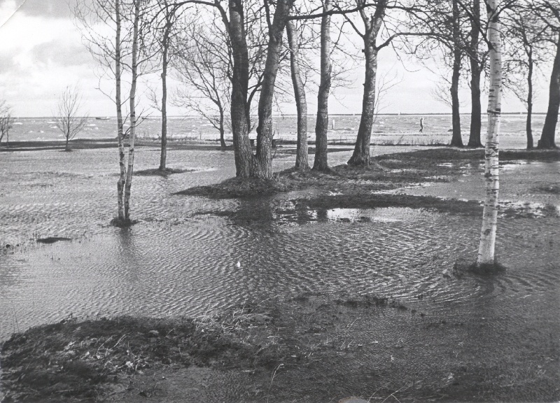 Foto. Aafrika rand pärast 1981. a. novembritormi.