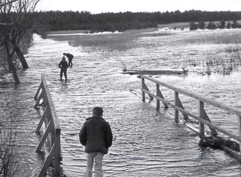 Foto. Paralepa jalakäijate sild vee all pärast 1981. a. novembritormi.