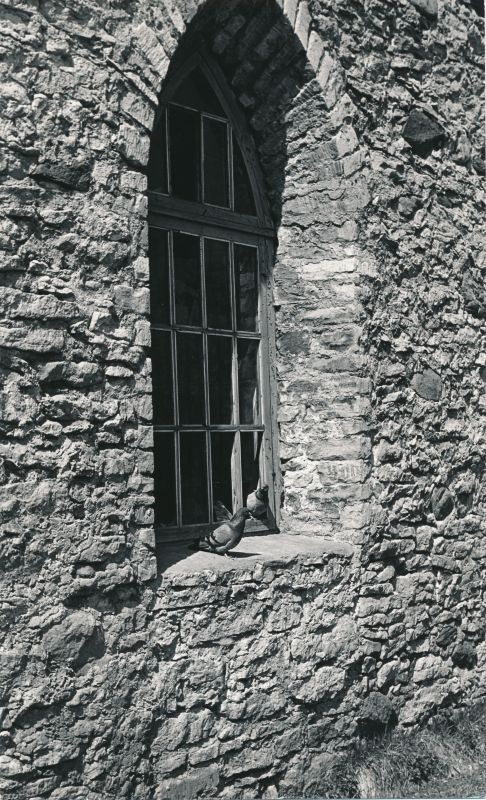 Foto. Haapsalu toomkiriku käärkambri aken. 1980. a. Mustvalge.