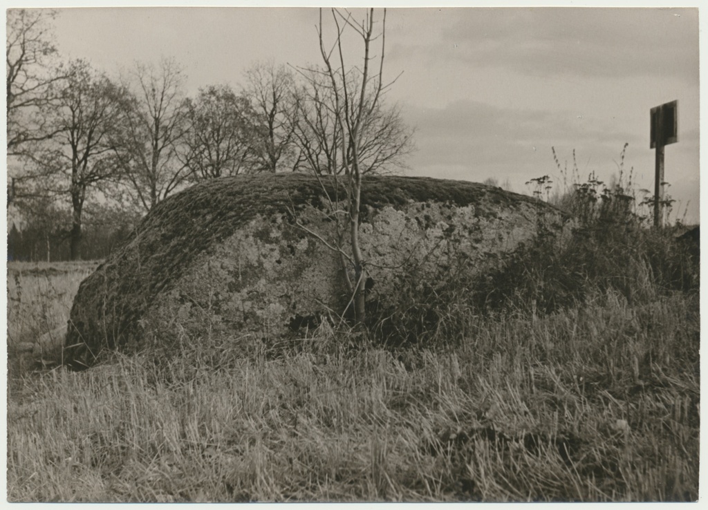 foto, Viljandimaa, Navesti, ohvrikivi, 1960