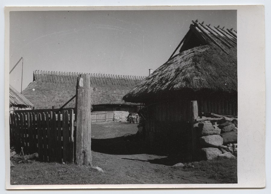 Saaremaa.