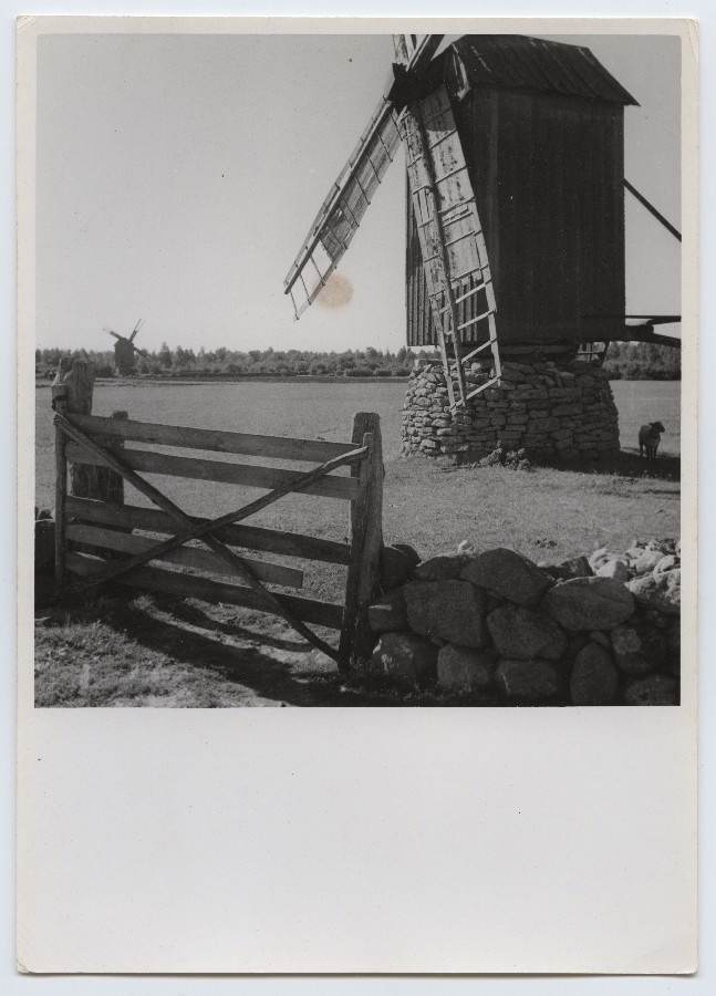 Saaremaa tuuleveski.