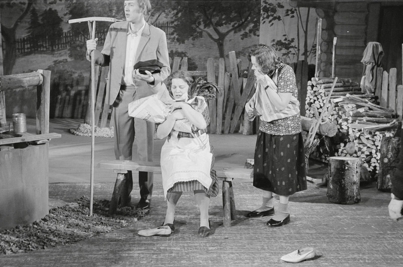 Rakvere Teatri lavastus "Sikud ja lambad"
