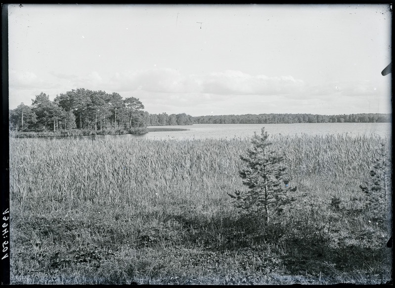 Rummu järv läänest 1922. Jõelähtme khk