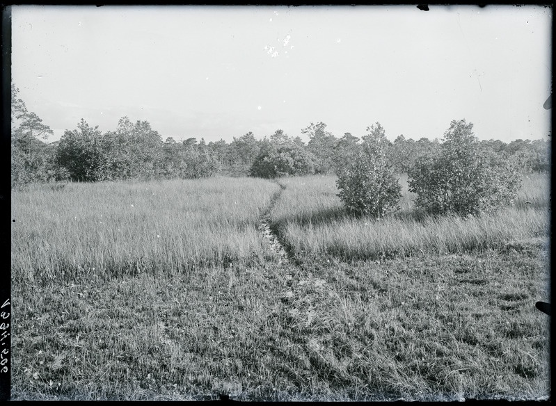 Haavakannu soonepealne Rummu raba serval 1922. Haavakannu k, Kuusalu khk