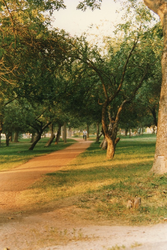 Kiviõli pargi vaade