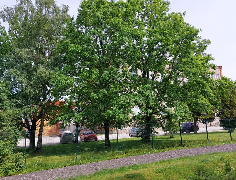 Eelkoolikasvatuse Pedagoogiline kool, hilisem Tallinna Ülikooli Pedagoogiline Seminar Tallinnas Räägu 49 rephoto