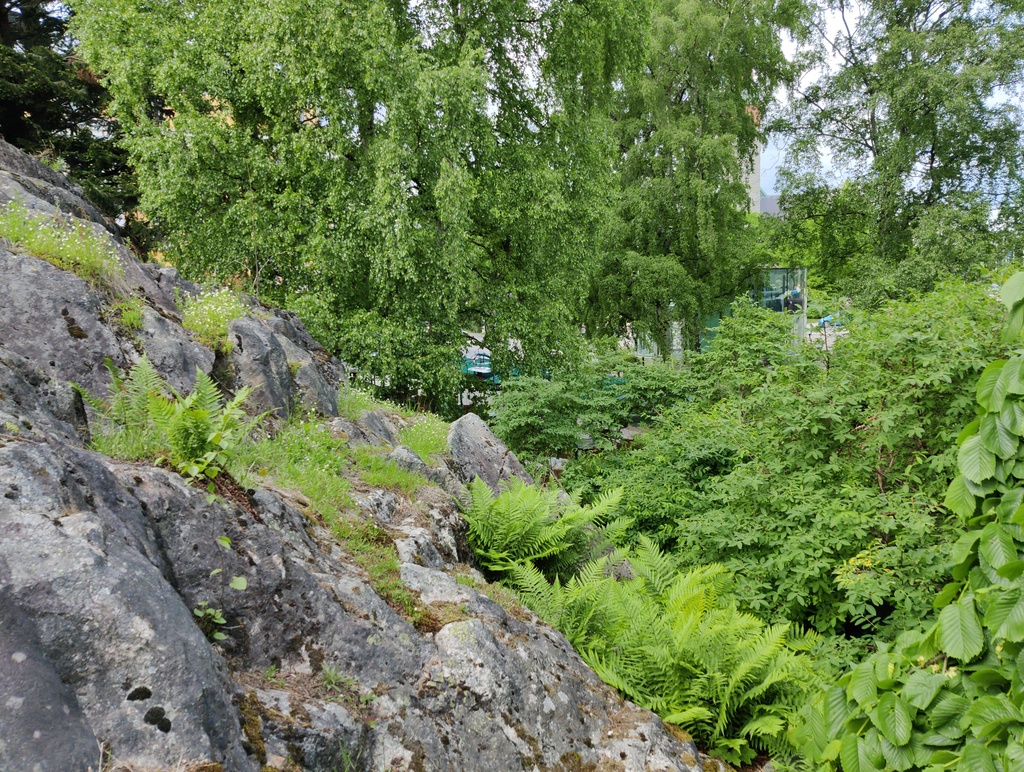 Läntinen Viertotie 6 pihan puolelta. Nykyinen Eduskuntapuisto Mannerheimintien ja Aurorankadun kulmassa. rephoto