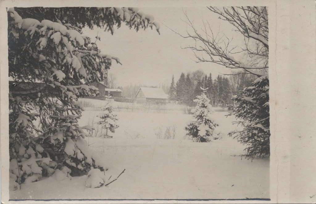 [jäneda]