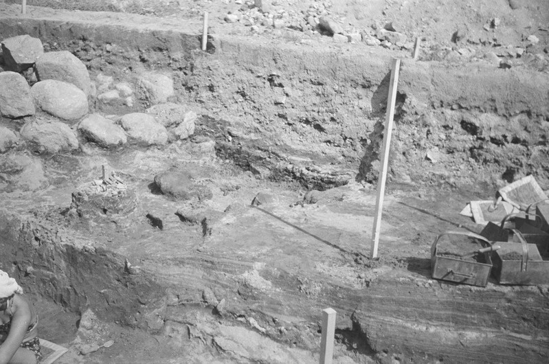 Tartu ülikooli NSV Liidu ajaloo kateeder. Arheoloogilised kaevamised Toomemäel. 1957. a.