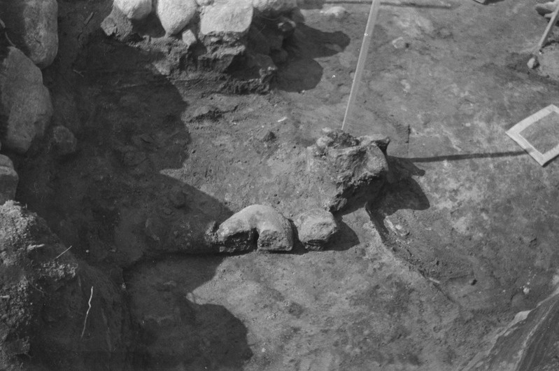 Tartu ülikooli NSV Liidu ajaloo kateeder. Arheoloogilised kaevamised Toomemäel. 1957. a.