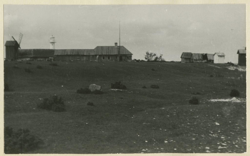 Harilaiu tuletornid. Vasakul hoonete taga 1940. aastal ehitatud ja paremal kaks vanemat.