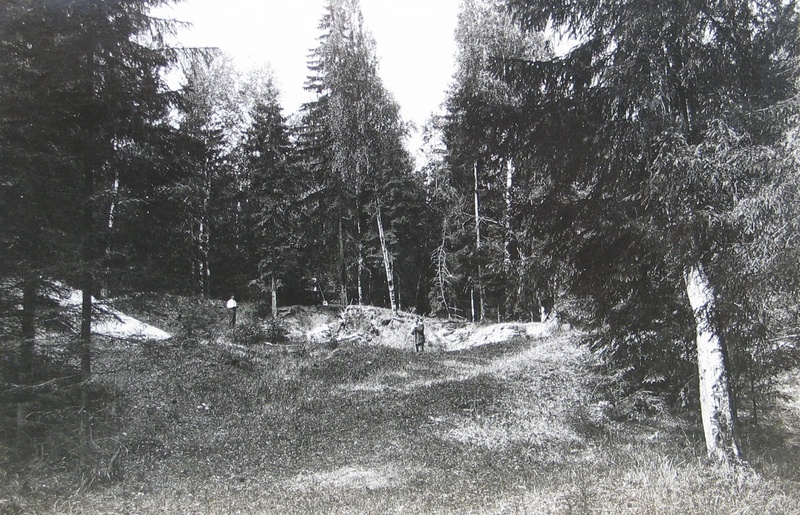 Umma mägi Avinurmes