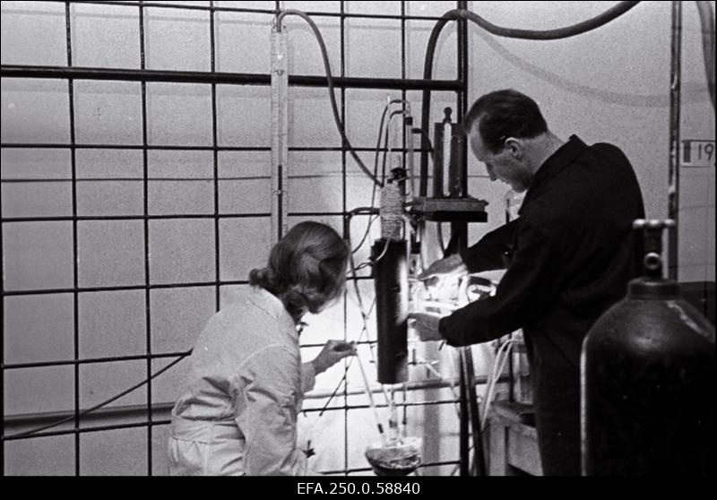 Põlevkivi Instituudi õlikeemia ja tehnoloogia laboratooriumi teaduslikud töötajad Leida Metsik ja Kalju Soo fenoole rektifitseerimas.