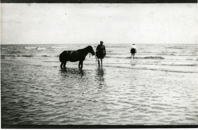 Erich von Ekesparre hobuse Jukuga Sõrve rannas