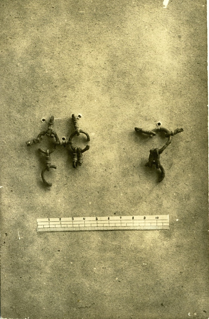 Saaremaa Muuseumi eksponaat: varrasahelikud