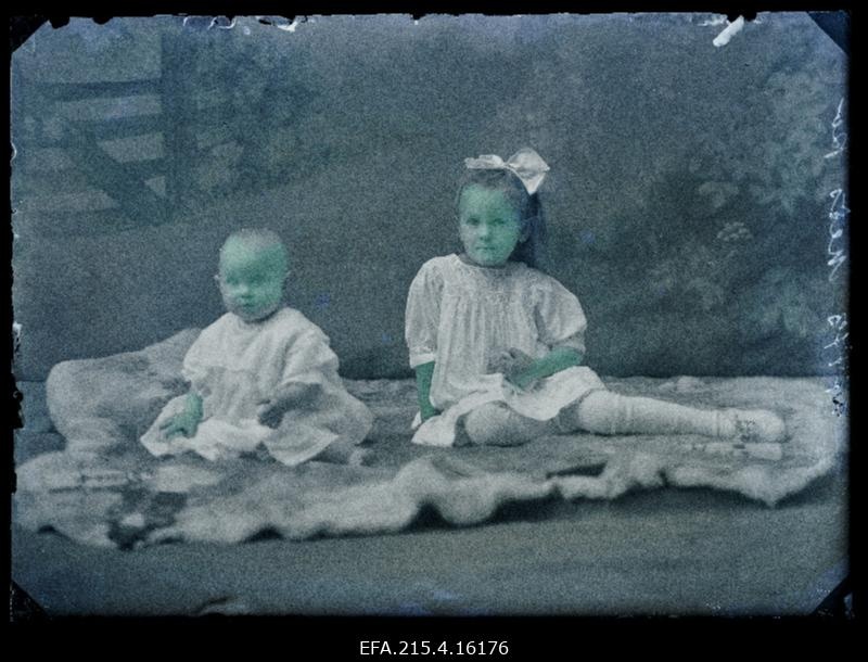 Metsa (Mets) lapsed.