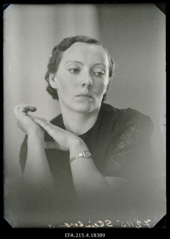 Steinberg, (Suure-Jaanist, Põhjaka küla).