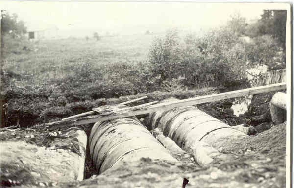 Foto Arbavere torutruup