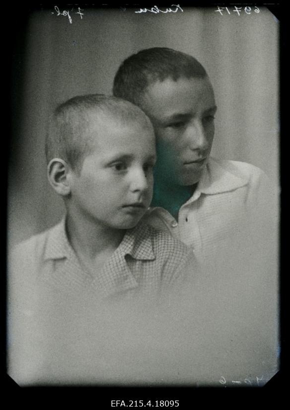 Kubu pojad Järva-Jaanist.