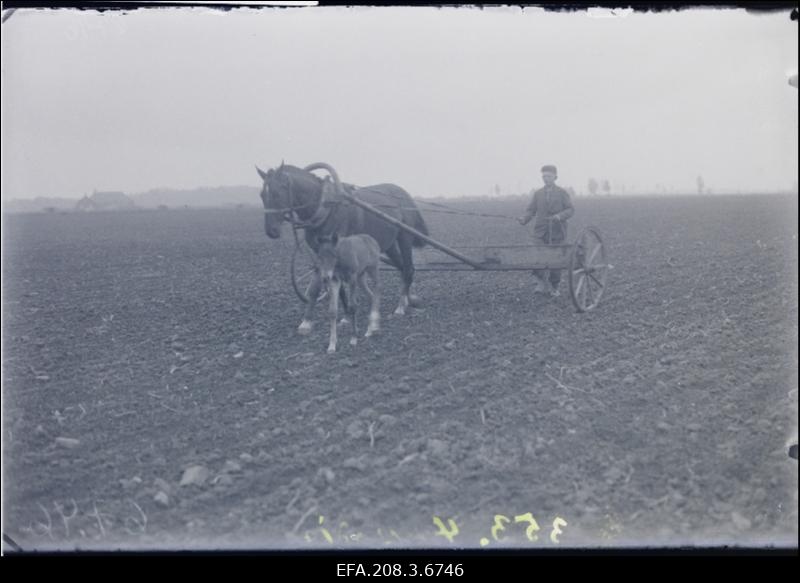 Vodja Põllutöökooli õpilane põllul äestamas.