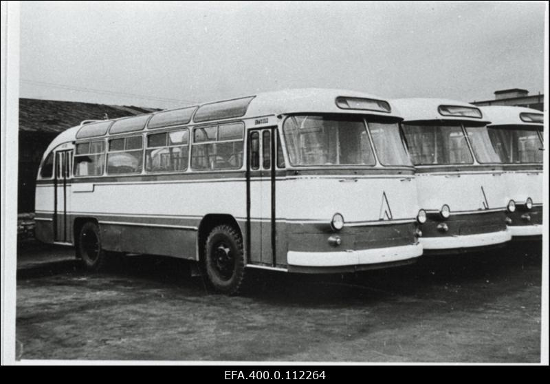 Tallinna Autobussipargi autobussid "Laz".