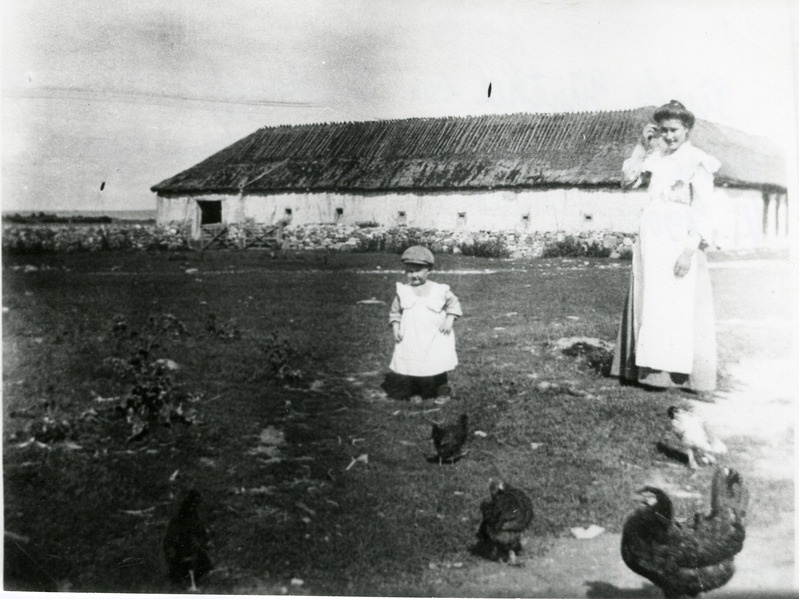 Günther von Rehekampff Triigi  mõisa karjaaias kanu taga ajamas