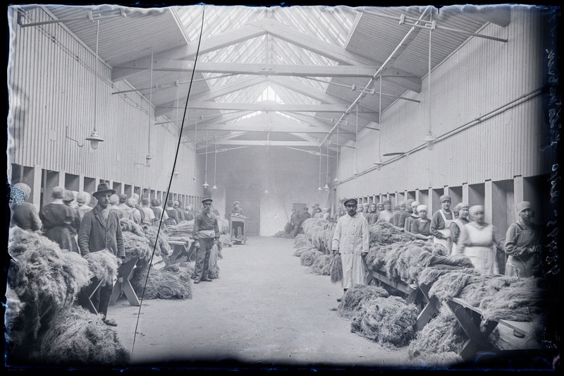 negatiiv Halliste khk Abja linavabrik, sisevaade, töölised rivis, foto J. Riet, neg 42495, 1924