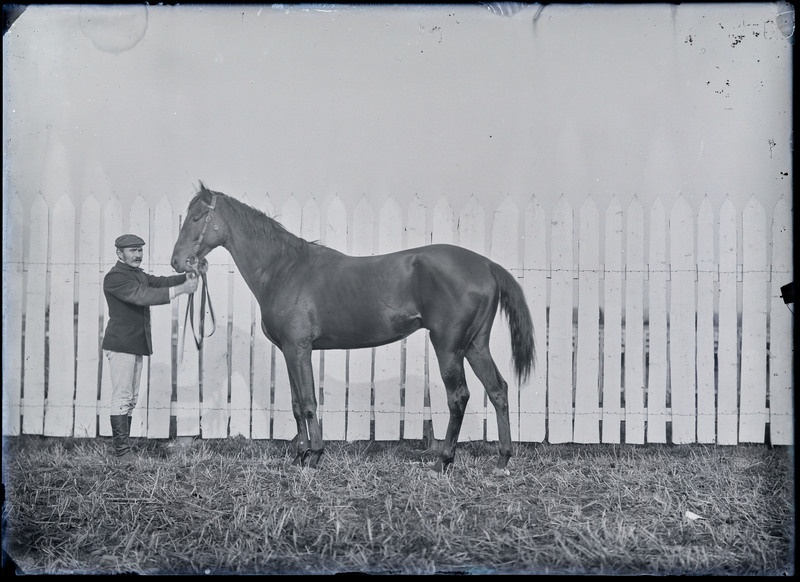 negatiiv mees, hobune, von Sievers'i, foto J. Riet, neg 10159, 05.10.1909