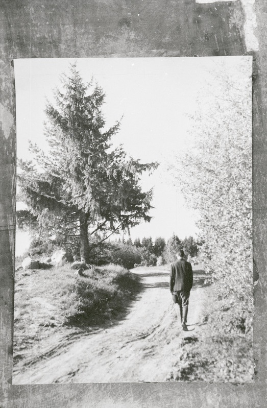 negatiiv, Paistu khk, Aidu v, tee Puiste tallu, H. Pöögelmann'i sünnitalu, u 1970