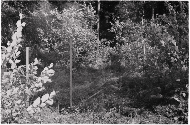 negatiiv, Viljandimaa, Risti kiriku varemete kaevamine, põhjakaevand, 1974