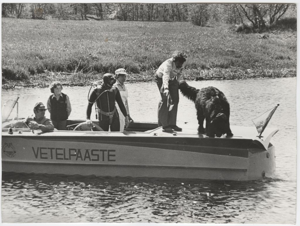 Eesti NSV Vetelpäästeühingu vetelpäästjad treeningul.
1978