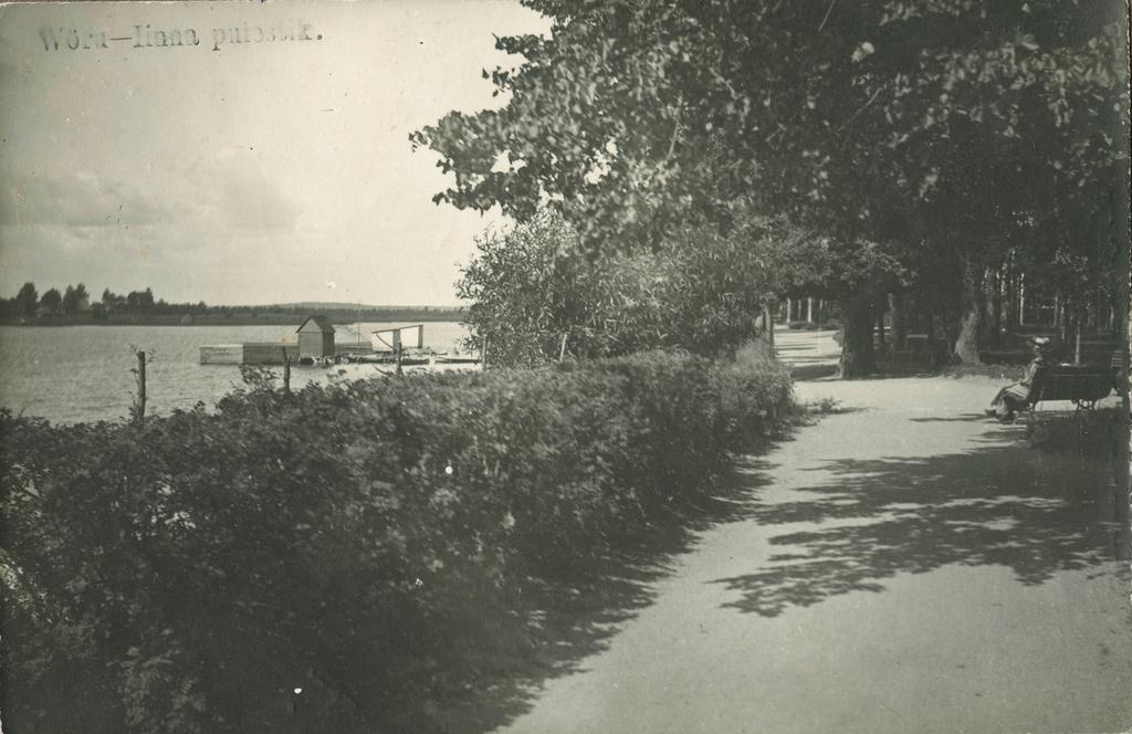 Võru-linna puiestik