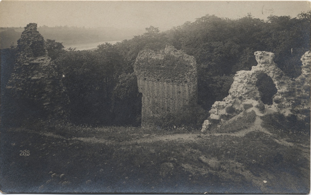 [viljandi castle roofs]