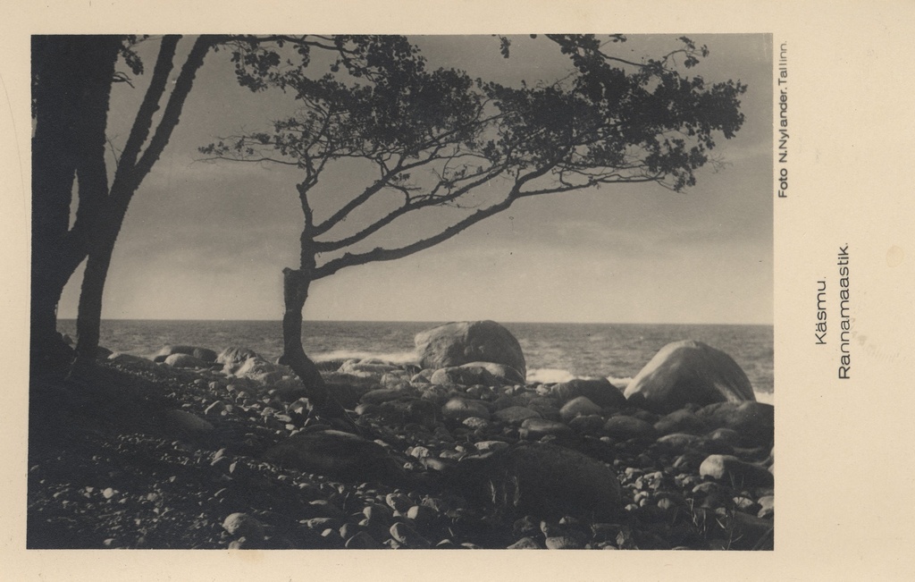 Käsmu beach landscape