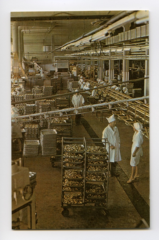 Kalurikolhoos "Pärnu Kalur". Konservitehase tootmishall.