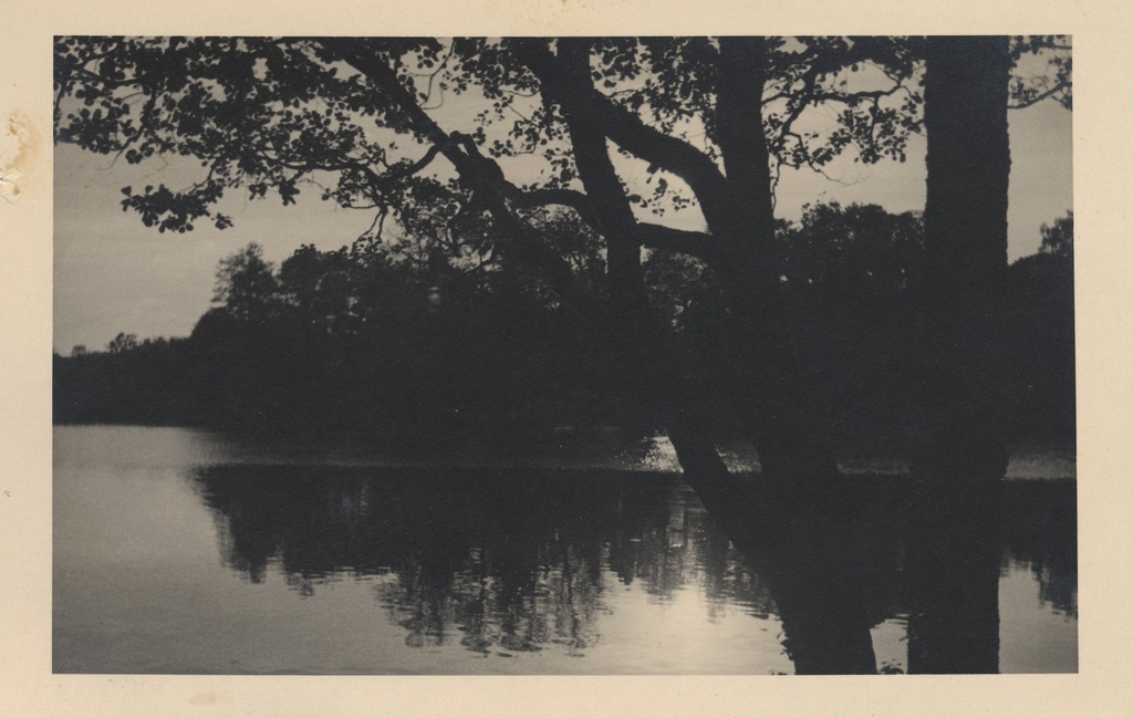 [south Lake]