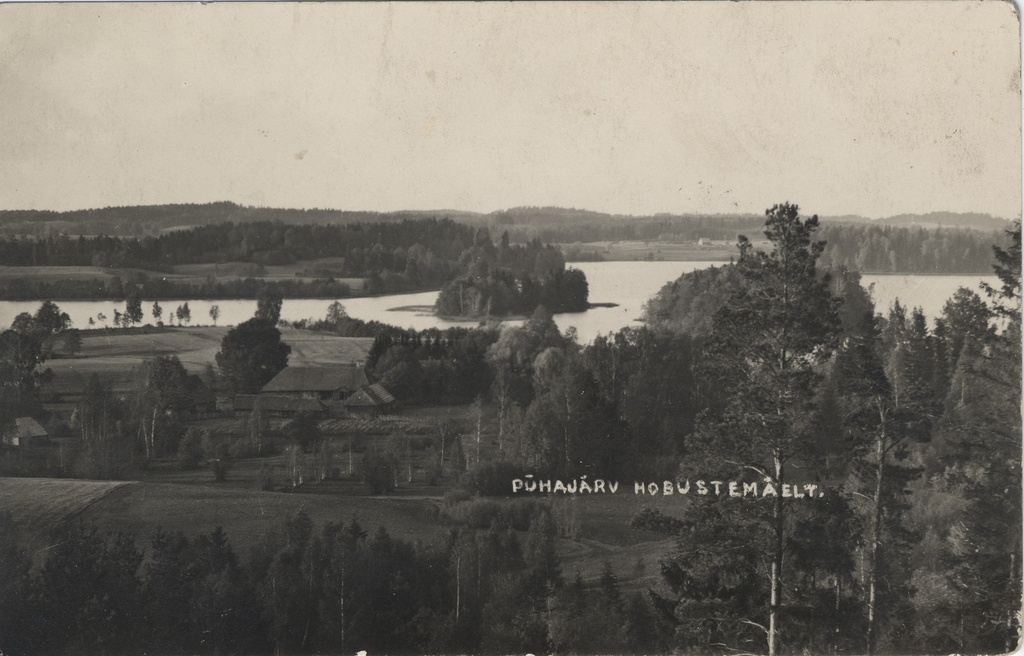 Pühajärv from Hobustemägi
