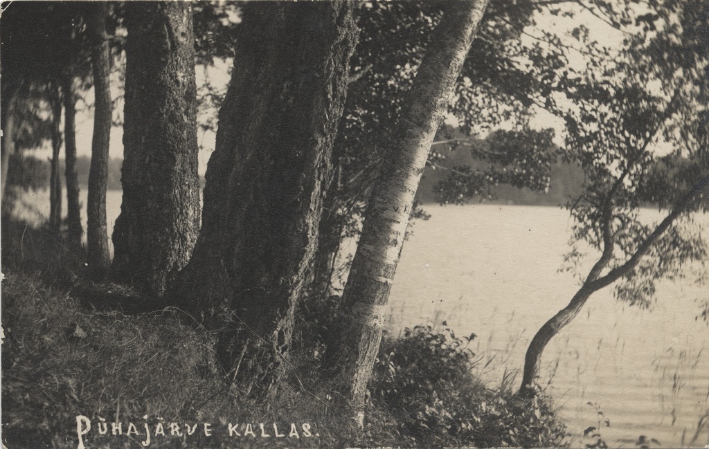 On the shore of Pühajärvi