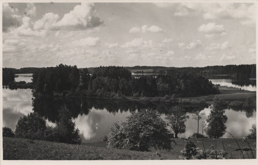 Pühajärv : Kolga peninsula